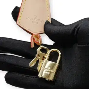 Louis Vuitton Alma BB - Image 8