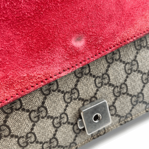 Gucci Dionysus Woc Monogram Small - immagine 5